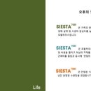 시에스타 이미지