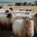 (주)우성양행 이미지