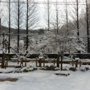 금리마을펜션 이미지