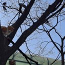 중랑천 만남의 광장 이미지