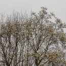 승준농장 이미지