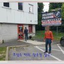 세종당구나라 이미지