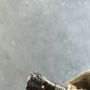 진영오토밋션 이미지