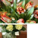 꽃꽃이 고급 이미지