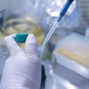 엘에스메디팜 이미지