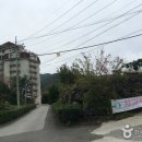 토비스슈퍼