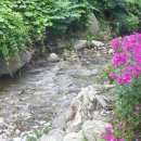 다사랑약국앞 이미지