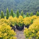 임가농장 이미지