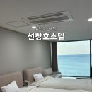 더뷰 호스텔 | [묵호] 어달해변 근처 숙소 추천! 전객실 오션뷰 “선창호스텔” 후기