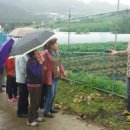 상옥농장 이미지