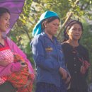 금상첨화 이미지