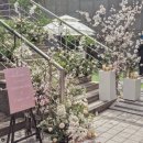 💒 웨딩 베뉴 비교 (3) 서울 100인 ~ 500인 야외베뉴 11곳, 25년 견적 공유