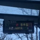 엠지트레블 | 고수 싫어! 다낭 여행1