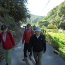 유룡리농장 이미지