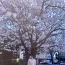 캠핑아일랜드 이미지