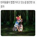 데일리 김밥 이미지