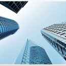 판교행정사 이미지