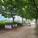 미사뚝방산책로 이미지