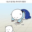 해찬솔가 이미지