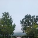 이디야경주점 이미지