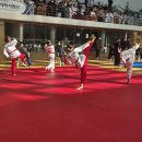 용인대 선일태권도 이미지