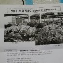 부평종균사 이미지