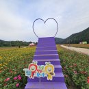 산소카폐 청송정원 (1) 이미지