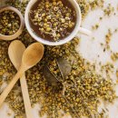 약용식물전문가과정 이미지