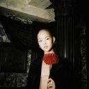 코코나 카카오 검색결과