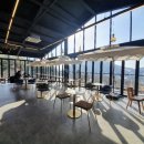 올라알파카 카페 이미지