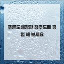 푸른도배