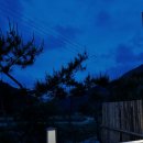 스테이 홉스 이미지