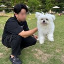 승민애견 이미지