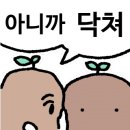 낭만과순정 이미지