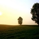 언덕목장 이미지