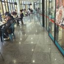 대청도 | 가볼만한 곳] 서해5도 수산물복합문화센터 야장 감성 폭발! 대청도혁이네 갑오징어, 도다리 회 포장 후기