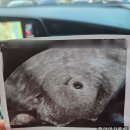 일공이오 | [공지] [배란 23일차 기록] 5주 2일 아기집과 난황 초음파 후기