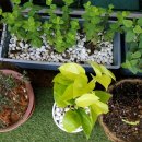 참편한 주유소 이미지