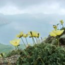 즐거운노래 이미지