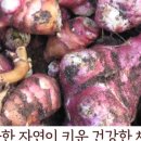 미음컴퍼니