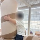 파티방앗간 | [아기랑 대구] "지금 키즈룸"에서 아기 8명 합동 생일파티한 솔직 후기