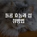 돌콩푸드 이미지