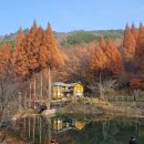 계룡산갑사황금산장 | 2025 추석 연휴 충청남도 여행지 TOP5: 가을 단풍과 역사 힐링 명소 추천