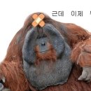 쉼 게스트하우스 이미지