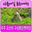 상주 운평리 구상화강암 | 무주 오산리 구상화강편마암