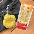 고내상 | [제주 애월] 급 떠난 제주 뚜벅이 여행 코스, 고내해변 포토존 후기(1편) ✈️