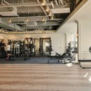 엠브이엠 이미지