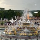 베르사유 궁전 야경 : 야간 분수쇼 Les Grandes Eaux Nocturnes
