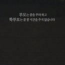 루시드어학원