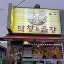 막창엔곱창 | 군산 소룡동 소곱창 맛집 고소한 막창엔곱창 후기